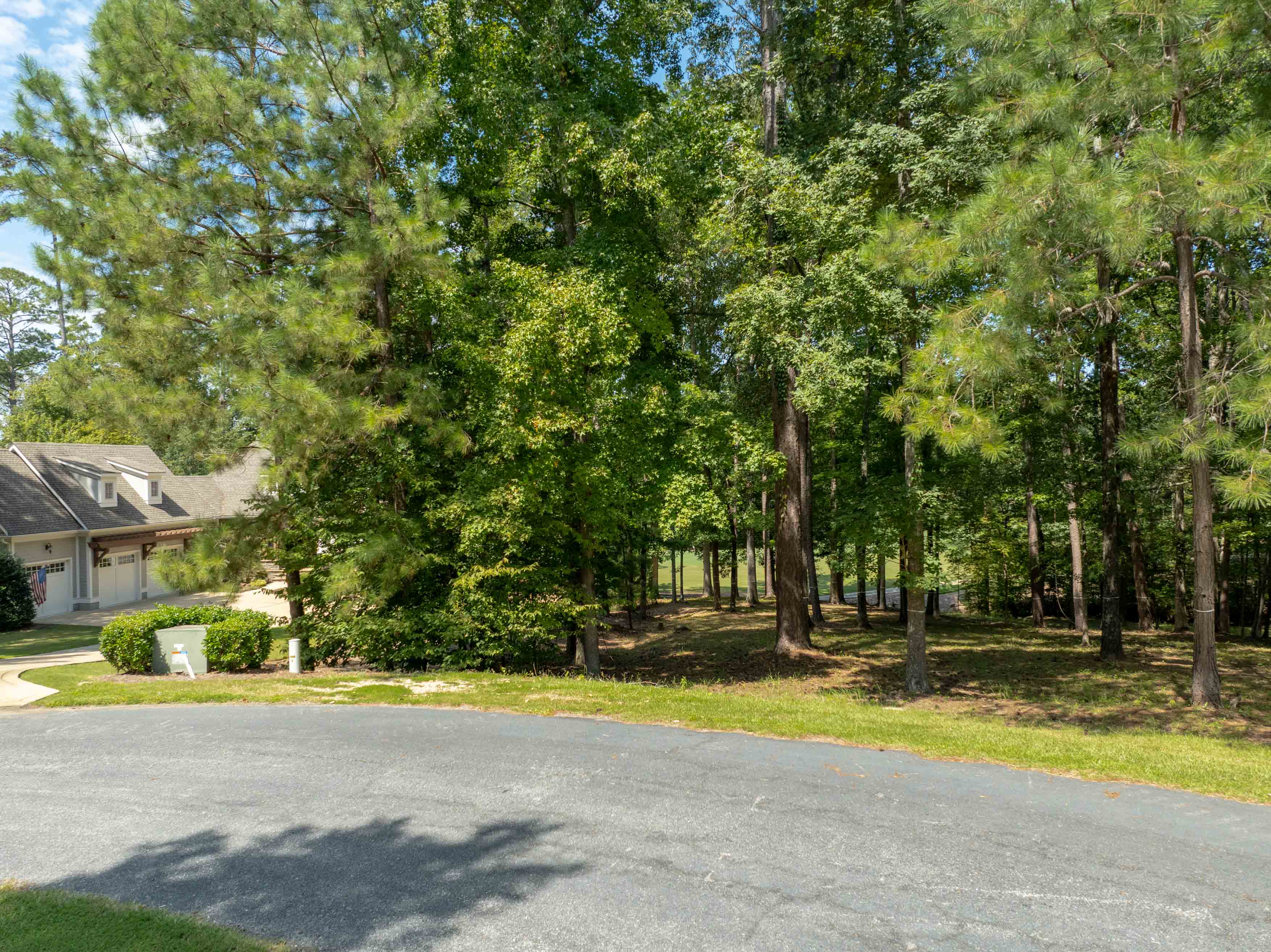 1021 Branson Bluff image 4